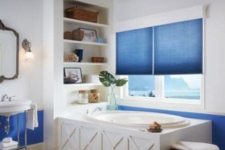 Cellular shades blue