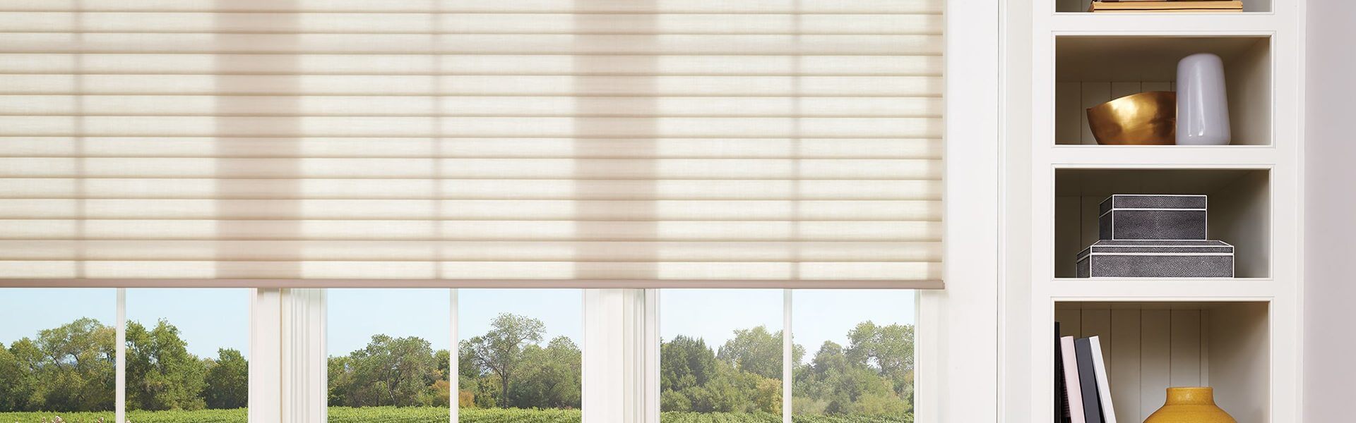 roller shades